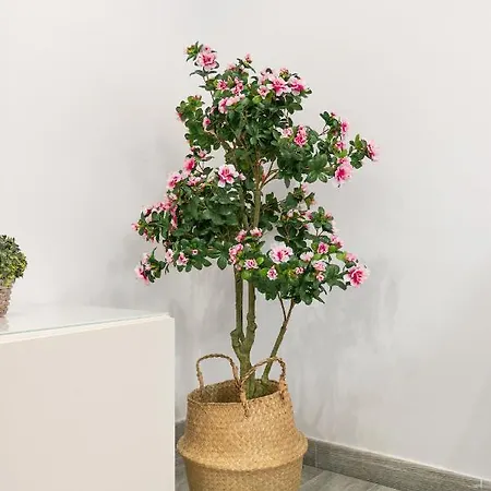 Apartamento Faro, Bonito En La Malagueta